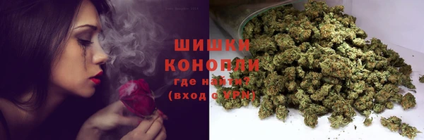 хмурый Аркадак