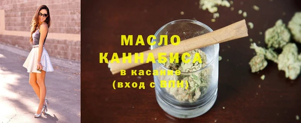 хмурый Аркадак