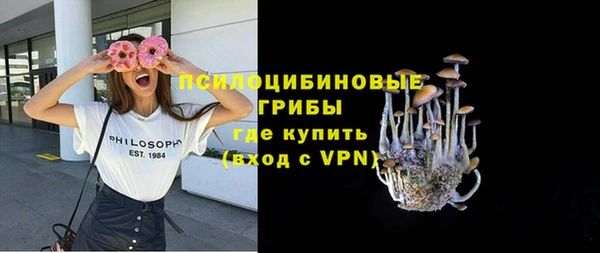 хмурый Аркадак