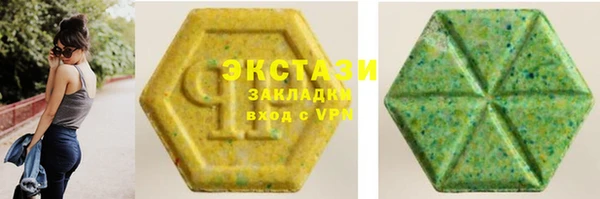хмурый Аркадак