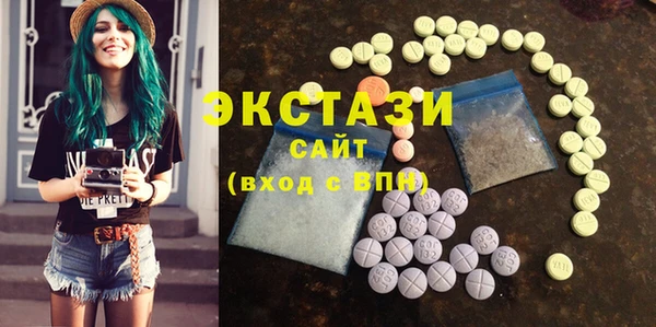 хмурый Аркадак