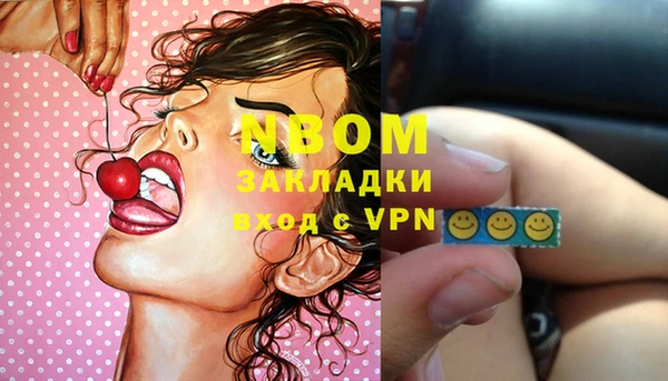 хмурый Аркадак