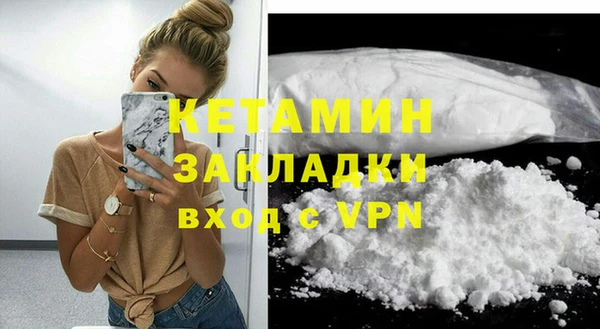 хмурый Аркадак