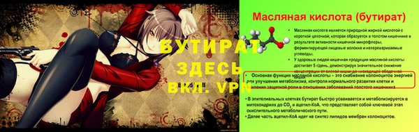 хмурый Аркадак