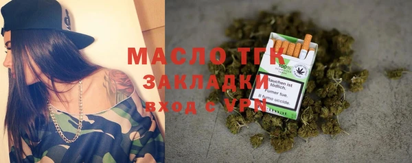 хмурый Аркадак